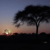 Отель Holiday Rental Home in Victoria Falls, фото 15
