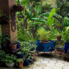 Отель The Garden Apartment at The Hacienda, фото 1