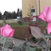 Отель La Posada de los Gnomos, фото 33
