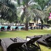 Отель Inna Grand Bali Beach Hotel, фото 23