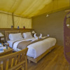 Отель Pangong Retreat Camp, фото 11