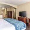 Отель Comfort Inn & Suites - Hannibal, фото 6