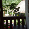 Отель Cabañas y Casas del Árbol La Huerta, фото 3