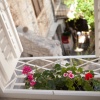 Отель Apartment Heart of Trogir, фото 14