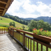 Отель Les Chalets du Danay, фото 14