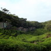 Отель The Rainforest Ecolodge, фото 23