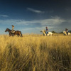 Отель Ranch Terra, фото 8