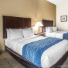 Отель Comfort Inn & Suites DeLand - near University, фото 7