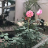 Отель Yiyuan Hotel, фото 13