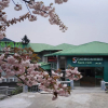 Отель Wuyue Scenic Area hotel Lushan Mountain, фото 12