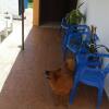 Отель Residencial Allegra, фото 8