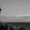 Отель No.27 Ayr Beach - Coorie Doon, фото 13