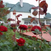 Отель Lillian Farms Bed & Breakfast, фото 23