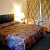 Отель Arkona Motel, фото 2