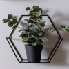 Отель Apatment Lux Chopina by Renters Prestige, фото 14