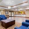 Отель Comfort Suites Johnson City near University, фото 13