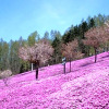 Отель Takinoue Hotel Keikoku - Vacation STAY 32408v, фото 4
