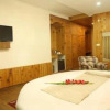 Отель Manali Valley Resorts, фото 3