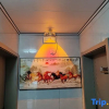 Отель Sanqingshan Yinhu Xiaozhu Homestay, фото 1