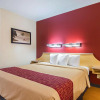 Отель Red Roof Inn and Suites, фото 7