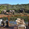 Отель Barefoot Addo Elephant Lodge, фото 16