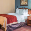 Отель Quality Inn, фото 33