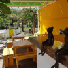 Отель Walkingcat, фото 18