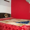 Отель Gulab Guest House, фото 2