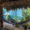 Отель Mauras Tropical Mini Hostel, фото 10