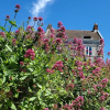 Отель Sea View Cottage, фото 25