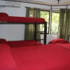Отель Tortuguero Adventures GuestHouse, фото 1