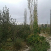 Отель Gîte Ferme Dar Raho, фото 13