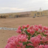 Отель Al Salam Camp, фото 24