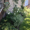 Отель Villa Garda B&B, фото 9