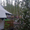 Отель Nubra Ethnic Camp, фото 18