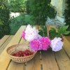 Отель Le Balcon Des Jasses, фото 10