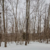 Отель Woods Village 34, фото 1
