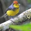 Отель Miriam's Quetzaly lodge, фото 5