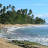 Отель West Coast Inn's Rincon, фото 17