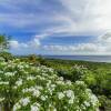 Отель Bista Laman, Sea, Nature & Relax, фото 19