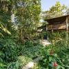 Отель Hostel e Camping Rio das Pedras, фото 17