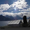 Отель Camp Blue Waters - Pangong, фото 11