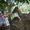 Отель Poza Blanca Lodge, фото 7