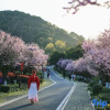 Отель Hangzhou Shuimo Zhuang Private Home Forest Hotel (Chaoshan Scenic Area), фото 5