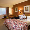 Отель City Lodge Hotel Bryanston, фото 3
