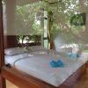 Отель Big Tree Resort, фото 14
