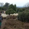 Отель Wijnstaete op den Pas, фото 14