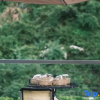Отель Wuta Xinshe (Jingshan Temple Branch), фото 2