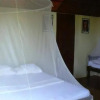 Отель Bio Veda Ayurvedic Hill resort, фото 3