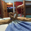 Отель Hakuna Matata Drake Bay Hostel, фото 11